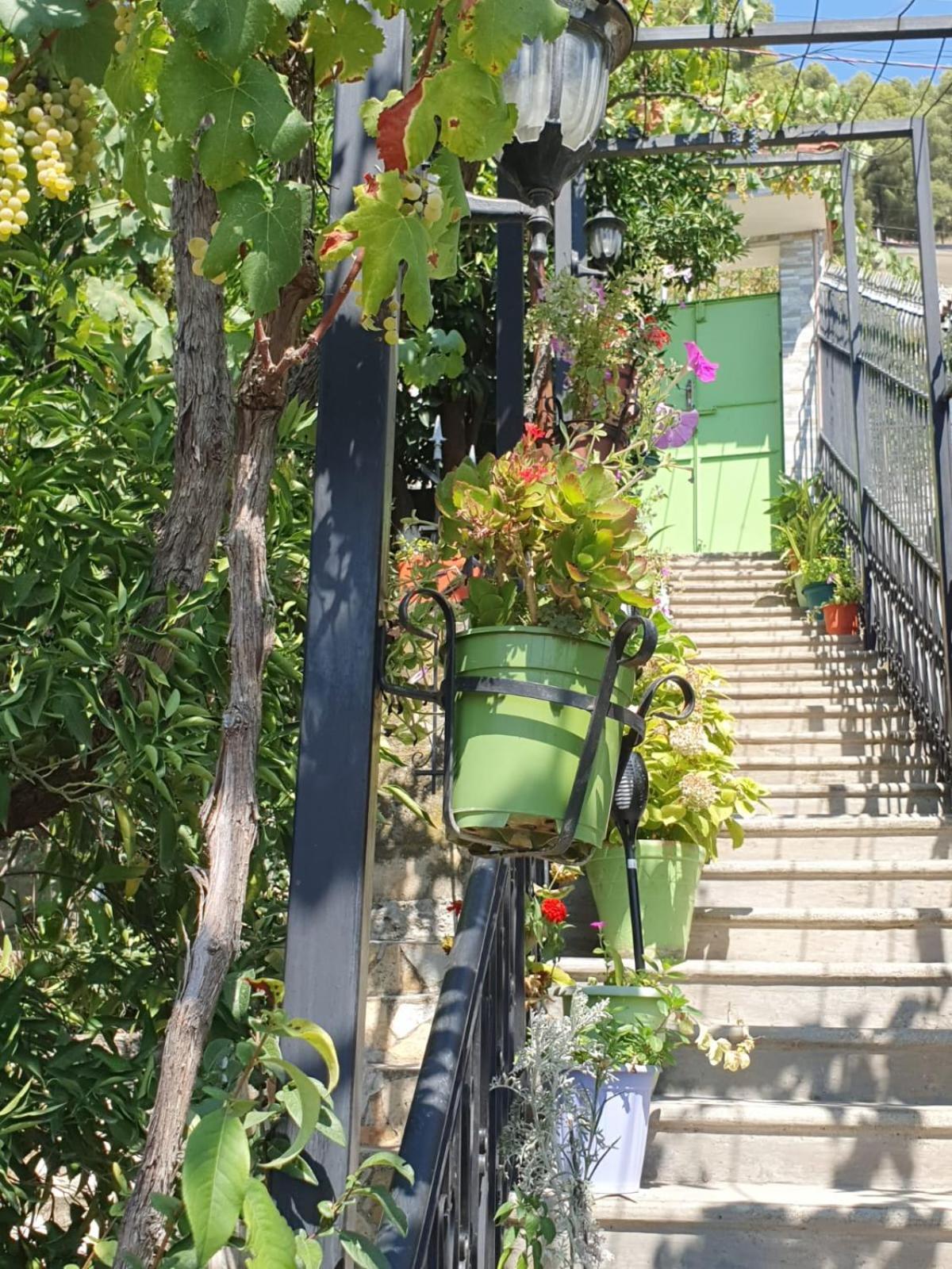 Sara Guesthouse Berat Exterior photo